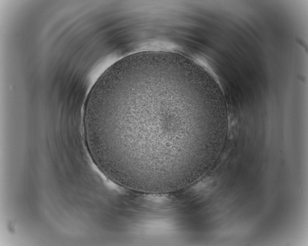 X0000100391103200806130946