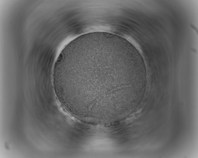 X0000100391104200806130946