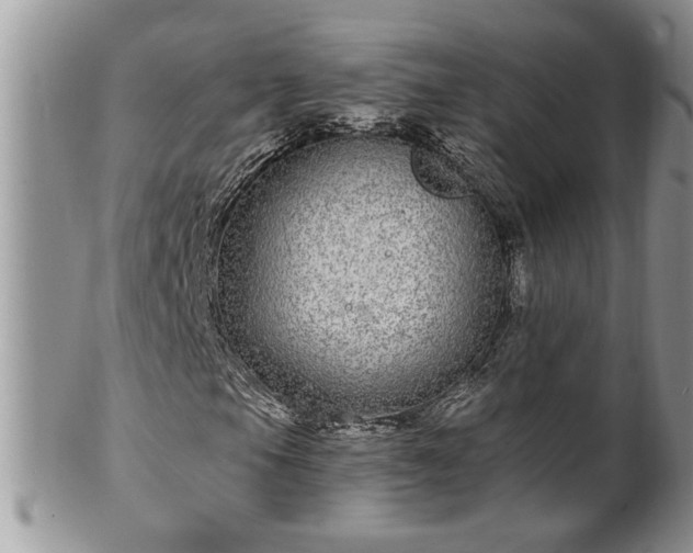 X0000100391105200806130945