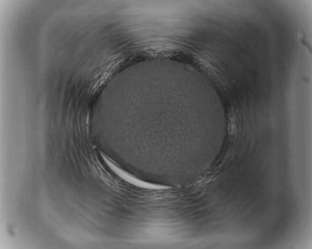 X0000100391108200806130945