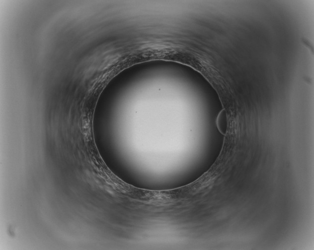 X0000100391109200806130945