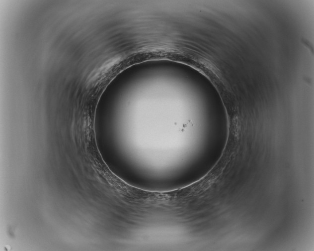 X0000100391111200806130945