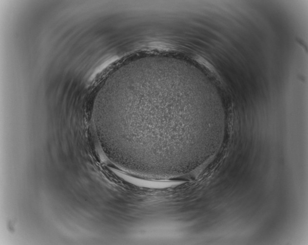 X0000100391112200806130945