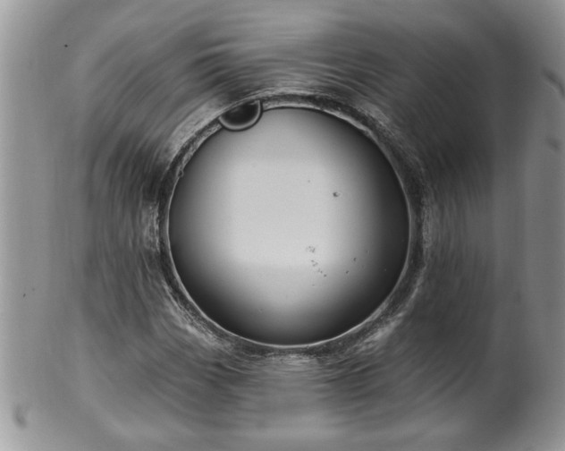 X0000100391113200806130945