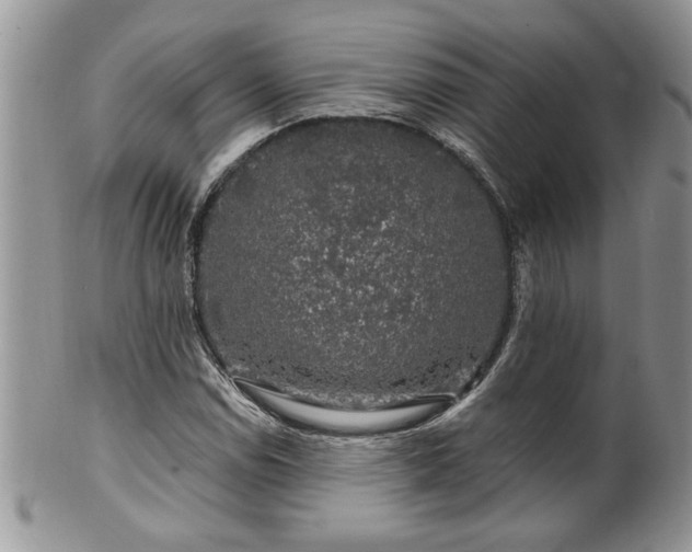 X0000100391114200806130945