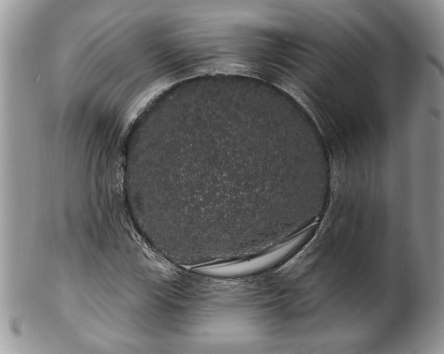 X0000100391115200806130946