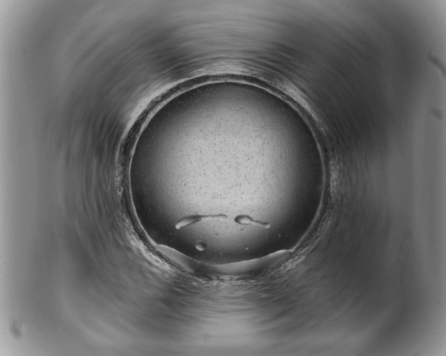 X0000100391116200806130946