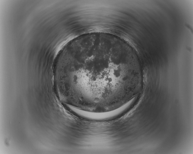 X0000100391117200806130946