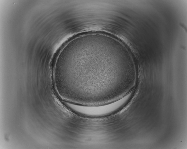 X0000100391118200806130946