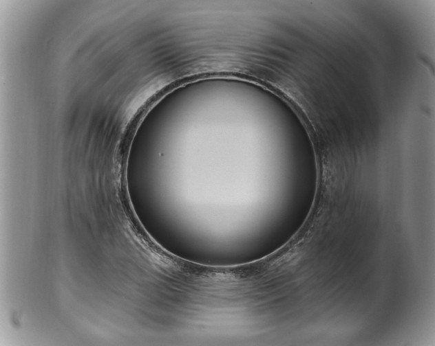 X0000100391119200806130946