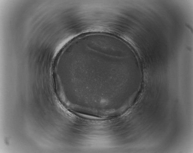 X0000100391120200806130946