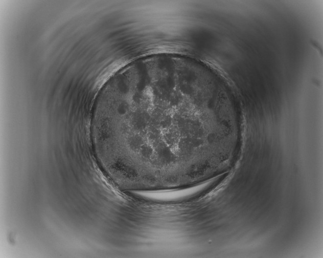 X0000100391121200806130946