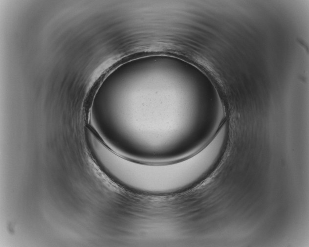 X0000100391122200806130946