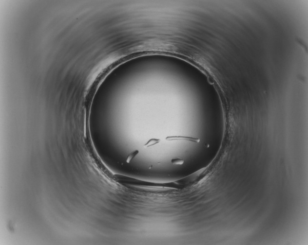 X0000100391123200806130946