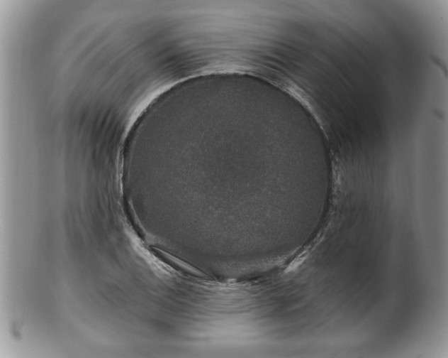 X0000100391124200806130946