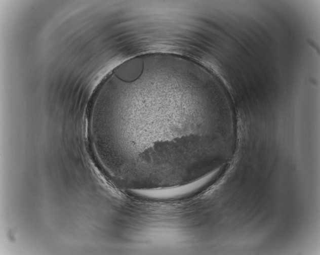 X0000100391125200806130946