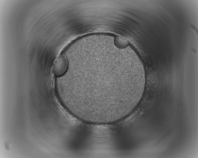 X0000100391126200806130946