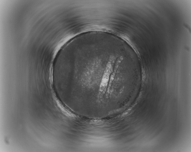 X0000100391128200806130946