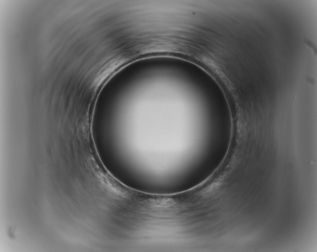 X0000100391129200806130946