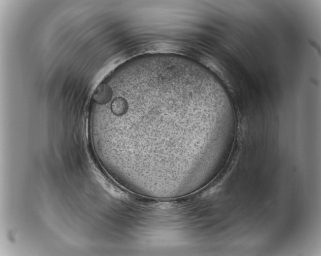 X0000100391130200806130946