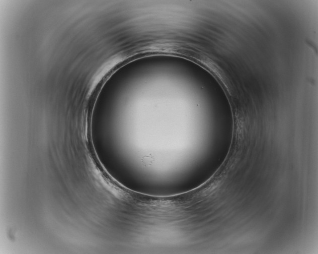 X0000100391131200806130946