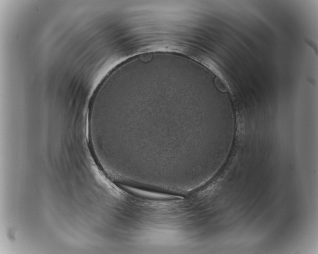 X0000100391132200806130946