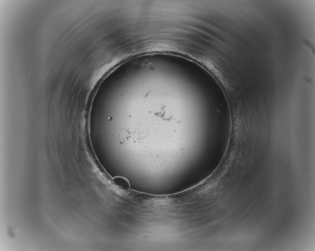 X0000100391134200806130946