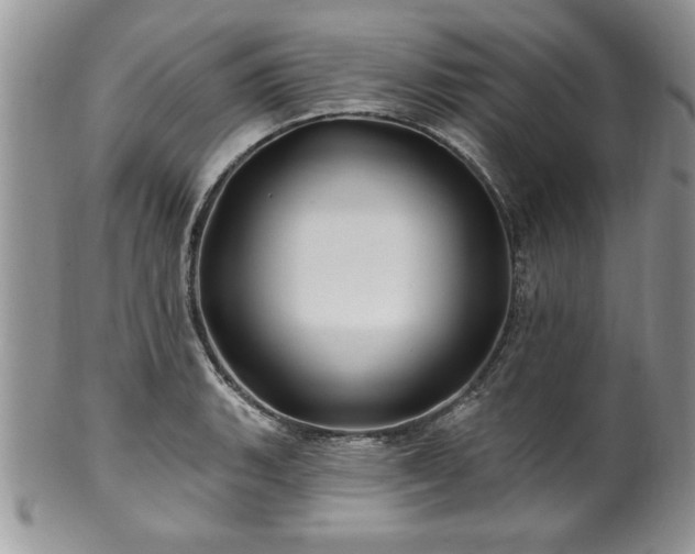 X0000100391135200806130946