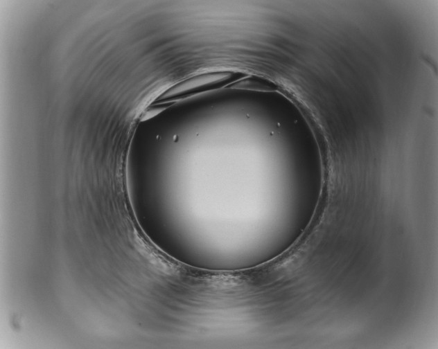 X0000100391137200806130946