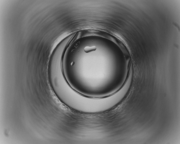 X0000100391138200806130946