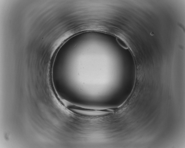 X0000100391139200806130946