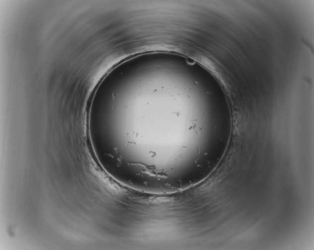 X0000100391140200806130946