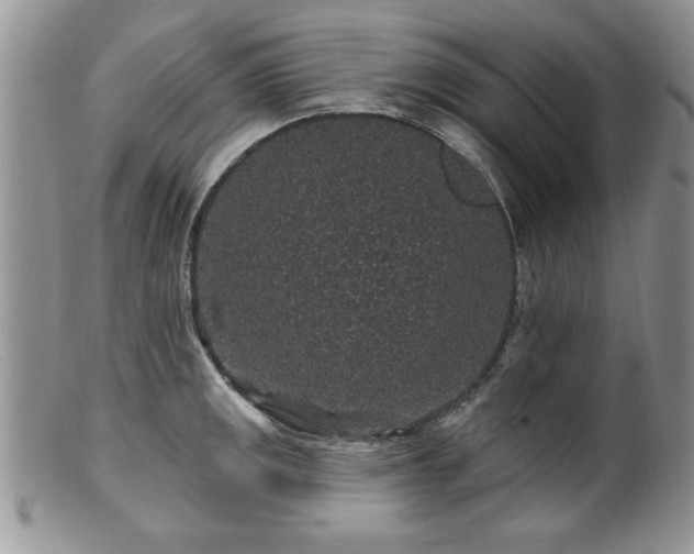 X0000100391141200806130946