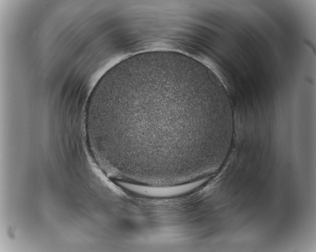 X0000100391142200806130946