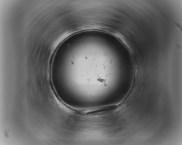 X0000100391143200806130946