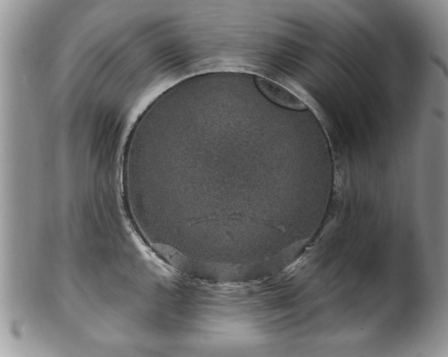 X0000100391144200806130946