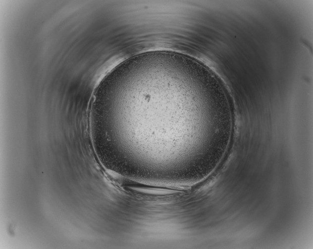 X0000100391145200806130946