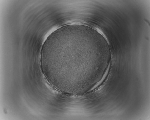 X0000100391146200806130946