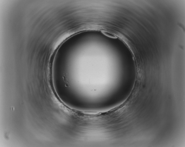 X0000100391147200806130946