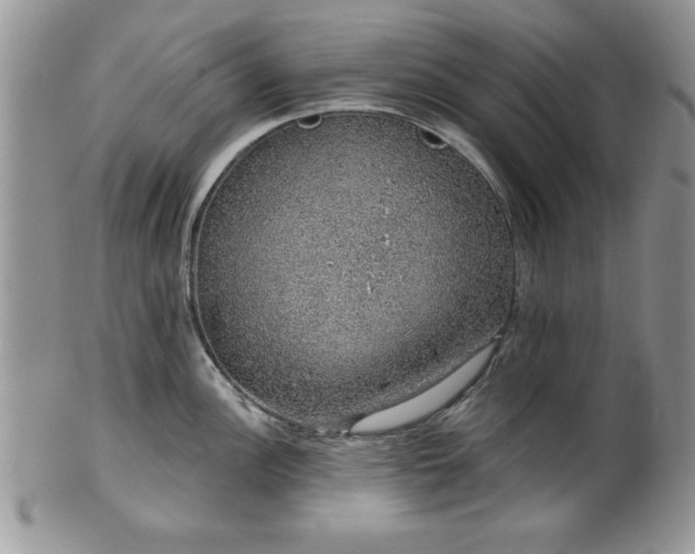 X0000100391148200806130946