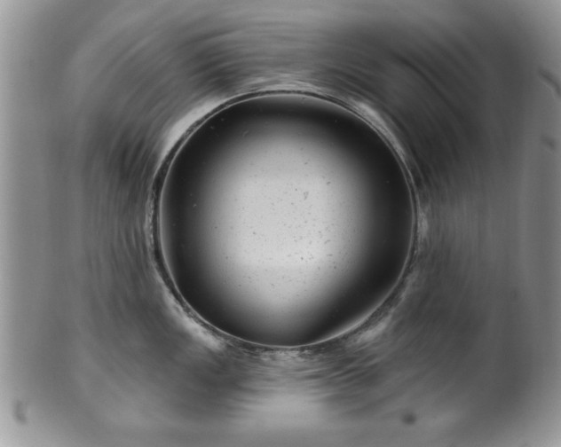 X0000100391149200806130946