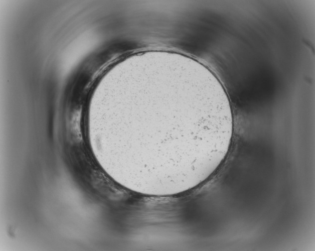 X0000100391150200806130946