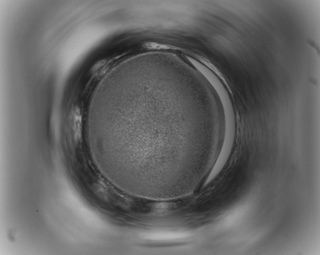 X0000100391151200806130946