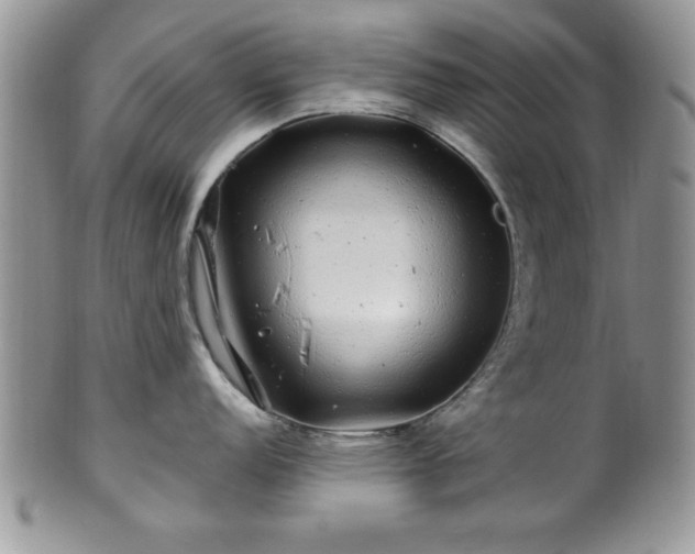 X0000100391152200806130946