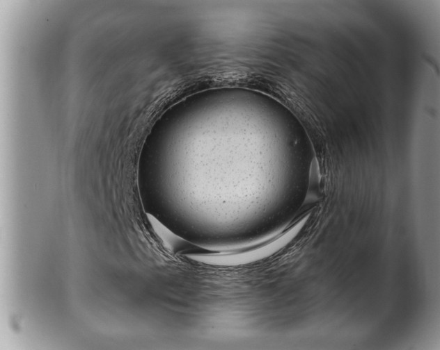 X0000100391153200806130945