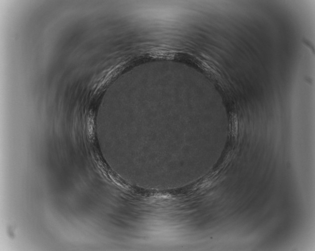 X0000100391154200806130945