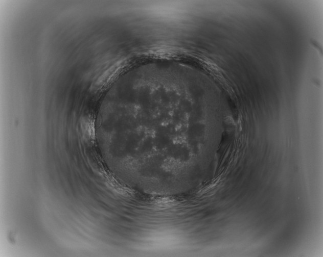 X0000100391155200806130945