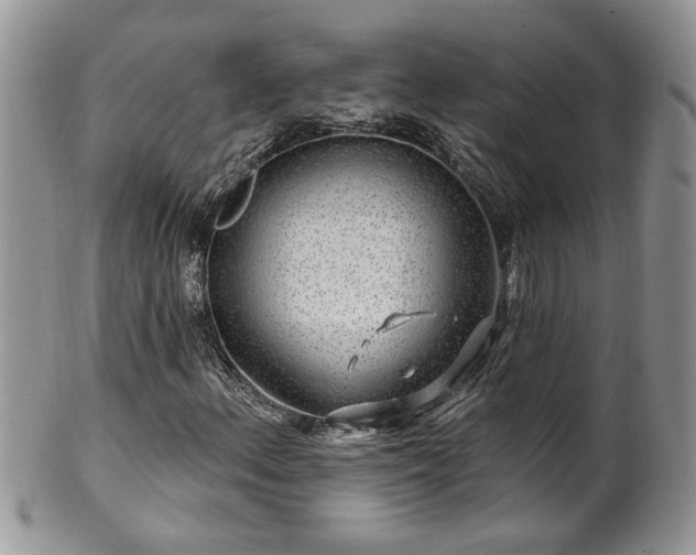 X0000100391156200806130945