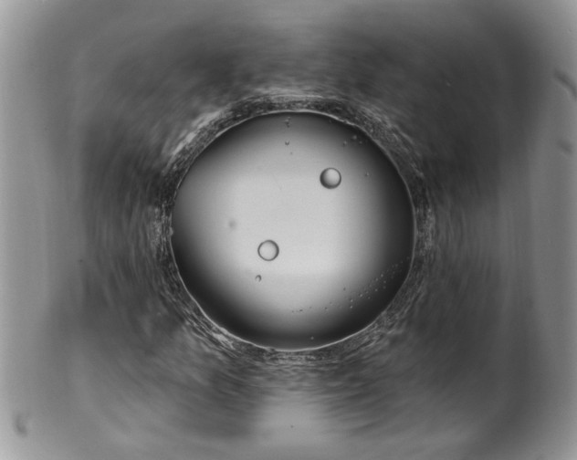 X0000100391157200806130945