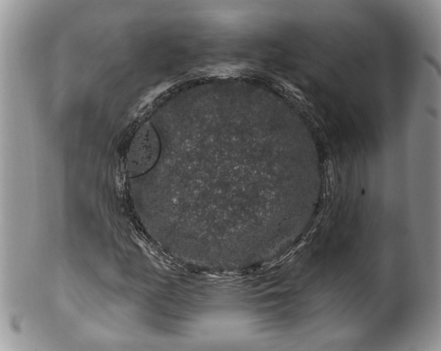 X0000100391158200806130945